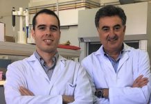 Científicos del ibs.GRANADA demuestran la importancia de la actividad de la telomerasa en el desarrollo y pronóstico del cáncer oral