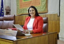 Por Andalucía pide a la Junta que “no deje tirados” a los usuarios del transporte público