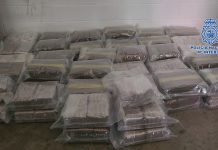 La Policía Nacional realiza 17 operaciones antidroga en Granada y Motril en el mes de diciembre donde incauta más de 62 kilos de hachís y más de 2.000 plantas de marihuana