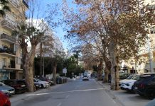 Almuñécar comienza este miércoles los trabajos de poda en la Avenida Costa del Sol