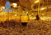 Encuentran una plantación de marihuana en un zulo excavado en un cortijo de Salobreña