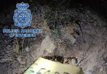 Detenidos en Calahonda dos varones por apropiarse de un fardo con 30 kilos de hachís abandonado en una playa