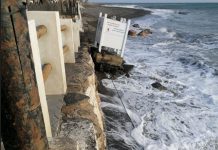 María José Sánchez: “La situación de las playas de la Costa Tropical es insostenible, necesitamos una respuesta urgente e inmediata del ministerio de Medio Ambiente»