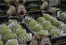 El sector hortofrutícola andaluz promociona su potencial y sostenibilidad en Fruit Logística 2023