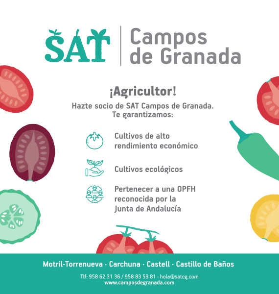 SAT CAMPOS DE GRANADA GENÉRICO