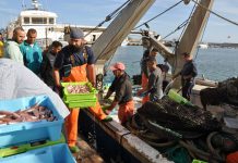 La Junta aprueba una ayuda económica para la Organización de Productores Pesqueros de Motril