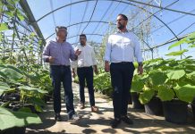 El Vivero Provincial lleva tres años preparándose para la entrada en vigor de la nueva ley de economía circular y de residuos