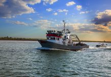 Andalucía reclama una descarbonización de la Pesca “viable” que no perjudique más al sector