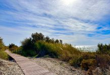 La playa de las Azucenas finaliza sus obras de mejora y ampliación con el objetivo de transformarse en una reserva natural