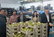 Almuñécar y Diputación acuerdan sumar esfuerzos para las promociones de los productos turísticos y frutas tropicales bajo el paraguas de Sabores de Granada