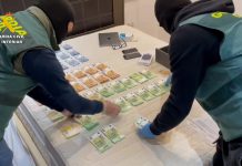 Intervenidas 12.000 plantas de marihuana de una violenta organización en Granada