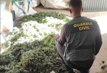 La Guardia Civil detiene a dos personas por tráfico de droga en la A-44 (Vélez de Benaudalla)