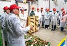 Visita de jóvenes agricultores a La Palma, ejemplo de éxito cooperativo