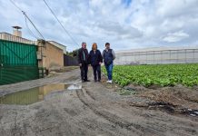 El Ayuntamiento mejorará el Camino de la Puchilla, una arteria vital para la agricultura de Motril