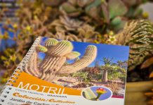 El Ayuntamiento de Motril presenta una guía de los ejemplares presentes en el Jardín de Cactus y Suculentas ‘Teresa’