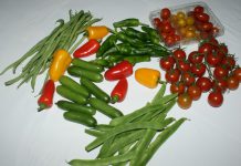 ECOHAL Andalucía apoya la movilización covocada por las OPAS