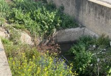 Izquierda Unida Verdes Equo denuncia vertidos y suciedad en el cauce de la Rambla de Las Brujas