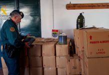 Intervenidos más de 2.500 litros de aceite lampante que iban a ser comercializados como aceite de oliva virgen
