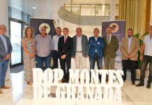 La DOP Montes de Granada premia la excelencia de sus AOVE y se consolida en la élite del sector olivarero nacional