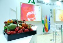 Andalucía, protagonista en Fruit Attraction 2024 con 7.000 m² dedicados a sus productos hortofrutícolas