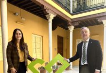 Diputación destinará 300.000 euros para la iluminación y decoración navideña en municipios en riesgo de despoblación