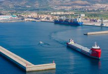Cinco puertos de dos continentes concentran la mitad de la actividad comercial de Motril en 2024