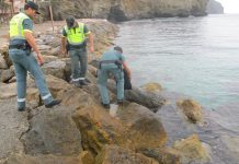 Intervenidos 24 kilos de anémonas de mar capturadas ilegalmente en una playa de Motril