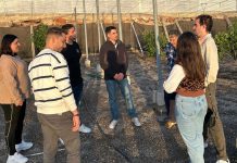 Las JSA Granada exigen a la Junta más apoyo y medidas inmediatas para los jóvenes agricultores