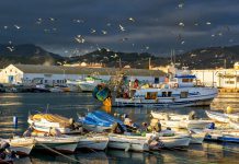 La cofradía de pescadores de Motril, TROPS o el Proyecto Life Agromitiga, entre los galardonados en los Premios ‘Agricultura y Pesca’ 2024