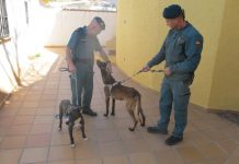 Investigan a un ‘ocupa’ por el abandono de dos perros en Almuñécar