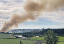 El incendio en la vega de Motril calcina unos 3.000 metros cuadrados de cañaveral