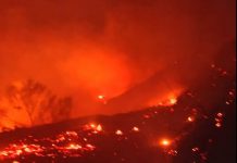 Detenido el presunto responsable del incendio de Peña Escrita que arrasó más de 600 hectáreas el verano pasado