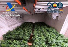 Operación antidroga en Santa Fé, El Jau, Cijuela y Alhendín con 16 personas detenidas