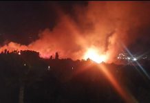 Incendio en zona de vega en el Polígono de Las Algaidas de Motril