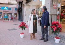 La Cámara de Comercio de Motril adorna los comercios de la ciudad con el reparto de cientos de pascueros por Navidad