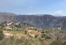 El Partido Popular de Almuñécar–La Herradura asegura que las ayudas a los afectados por el incendio de 2024 «siguen el trámite administrativo y llegarán a los agricultores»