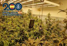 La Policía Nacional realiza en octubre 8 operaciones en Granada, Motril y Baza que se saldan con 32 detenciones