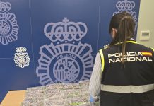La Policía Nacional realiza en noviembre 14 operaciones en Granada y Motril que se saldan con 36 detenciones, más de 3.300 plantas de marihuana y más de 260 kilos de hachís incautados