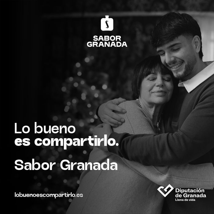BANNER DIPUTACION GRANADA -SABOR GRANADA-