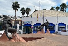 El PSOE denuncia el «colapso de la Policía Local durante el puente» y alerta de una situación «fuera de control» por la mala gestión de Juanjo Ruiz Joya y la concejala del área