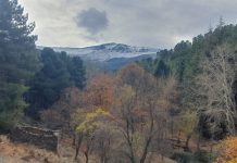 ALDEIRE (GRANADA), LA RASANDRÁ… EL OTOÑO