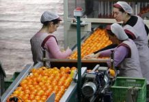 Desconvocada la huelga del sector del manipulado tras alcanzarse un acuerdo salarial