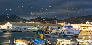 La flota de arrastre del Mediterráneo contará con 143 días de pesca en 2026