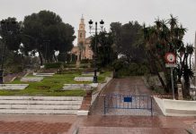 El impacto de la borrasca provoca la caída de uno de los grandes árboles del Cerro de la Virgen de Motril
