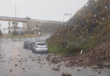 El temporal provoca desprendimientos, caída de palmeras y árboles de gran porte en Almuñécar