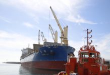 El Puerto de Motril cierra 2025 con récord de mercancías