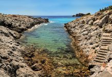 La mejora de la biodiversidad en la Punta de la Mona permitirá evaluar una nueva regulación de la pesca deportiva