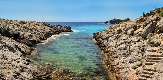 La mejora de la biodiversidad en la Punta de la Mona permitirá evaluar una nueva regulación de la pesca deportiva