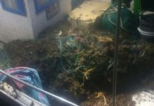 Centrados en Motril denuncia «el abandono del sector pesquero» y exige ayudas urgentes tras los temporales