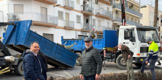 Salobreña lleva a cabo la tala de palmeras como medida de seguridad ante los fuertes vientos